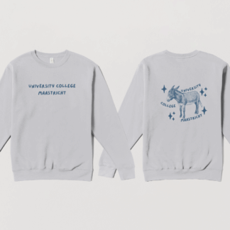 Sparkly Donkey Crewneck