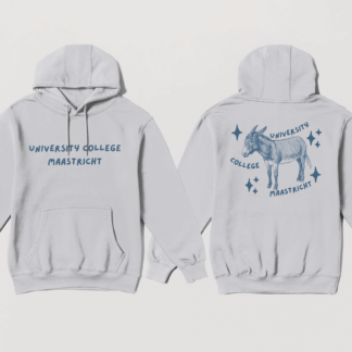 Sparkly Donkey Hoodie